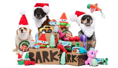 barkbox image