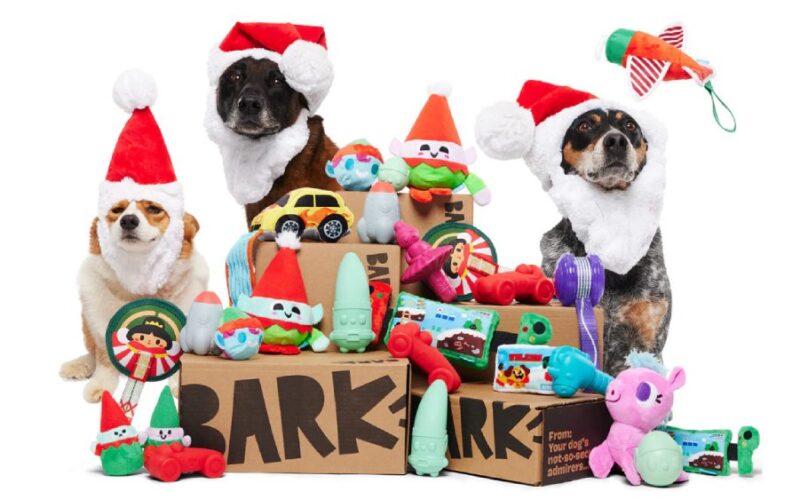 barkbox image