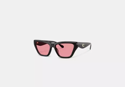 C Hardware Cat Eye Sunglasses