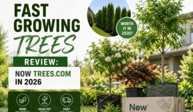 Fast Growing Trees Review: Now Trees.com in 2026