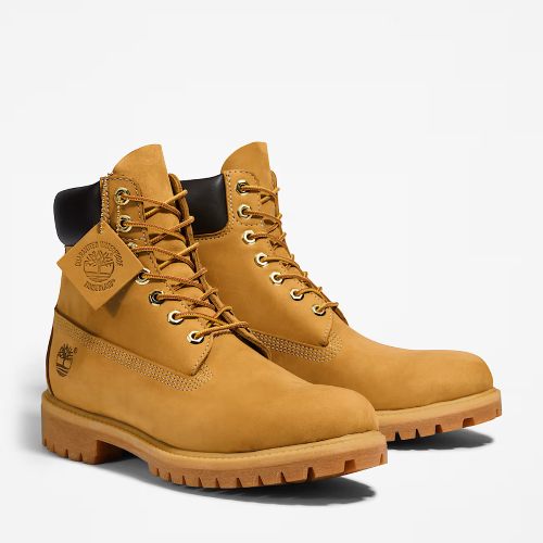 Men's Timberland Premium 6-Inch Waterproof Boot