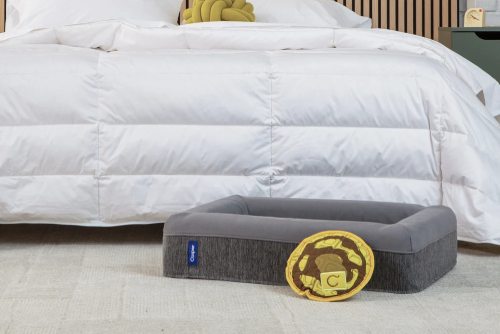 The Dog Bed