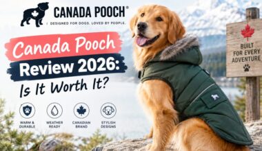 Canada Pooch Review 2026: Is It Worth It?