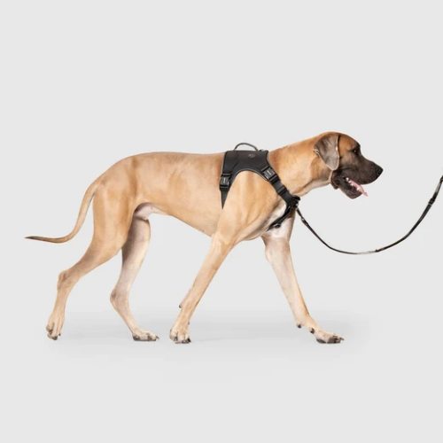 Complete Control Harness
